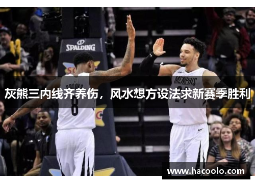 灰熊三内线齐养伤，风水想方设法求新赛季胜利